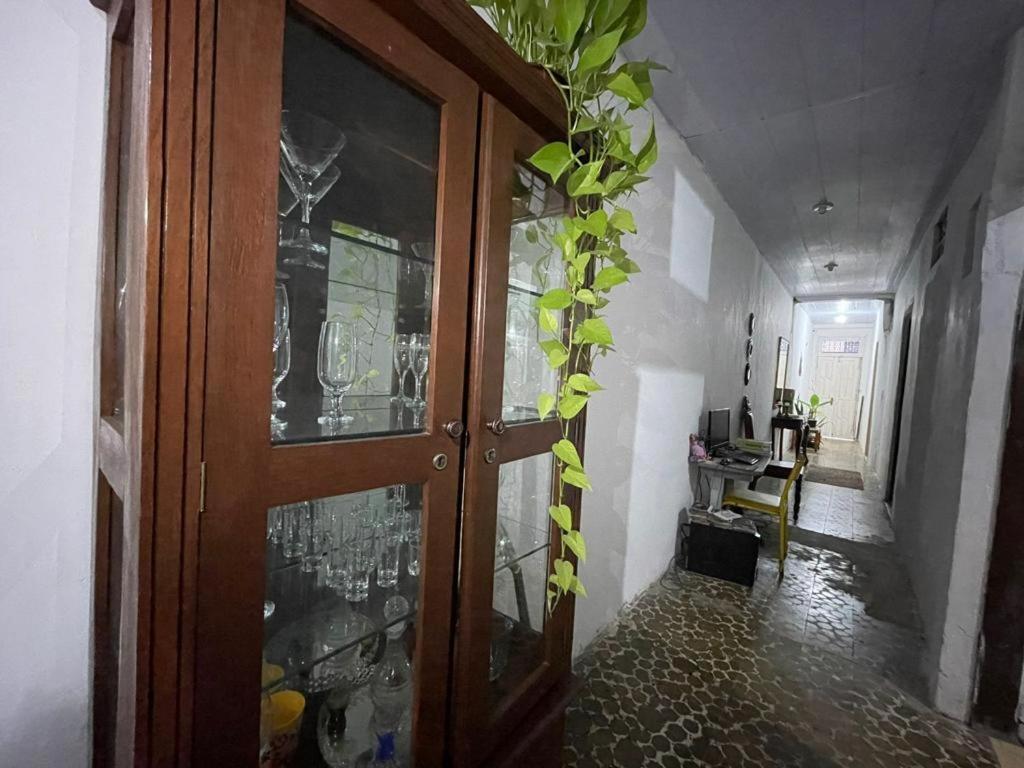 Casa Saude Salvador de Bahía
